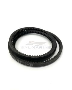 V-BELT - VP966929